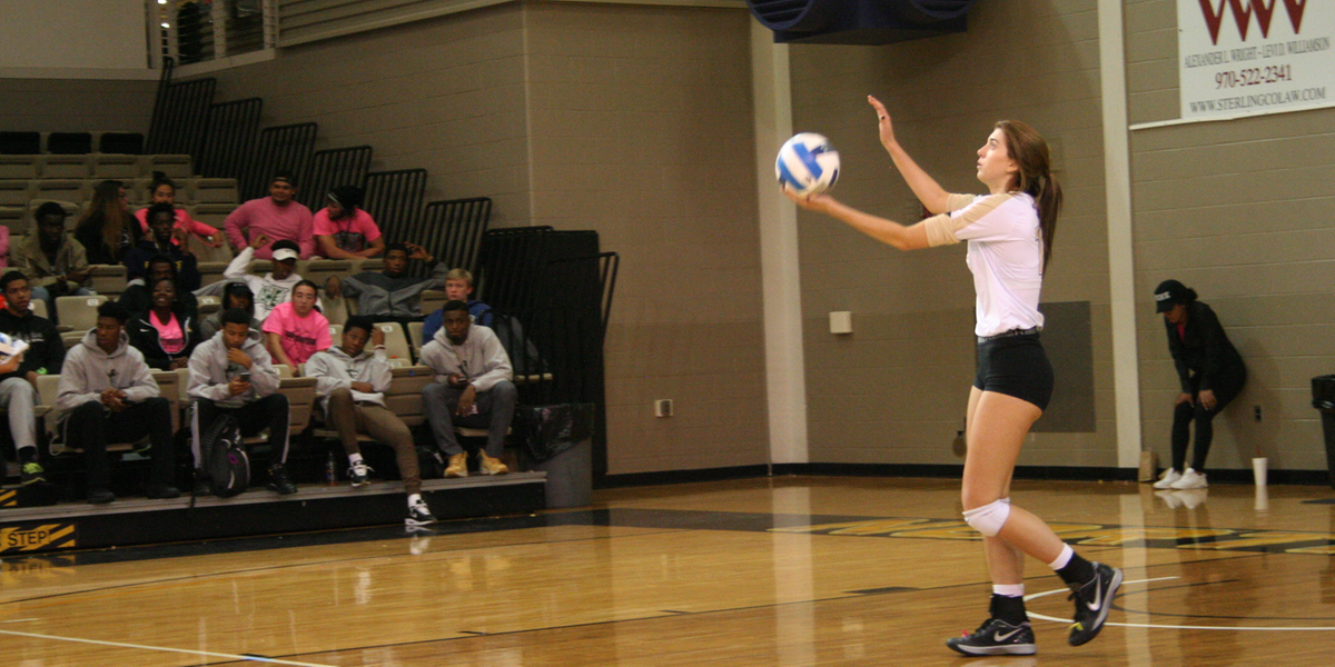 Macaluso lines up to serve in a regular season match