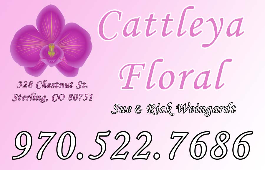 Cattleya Floral