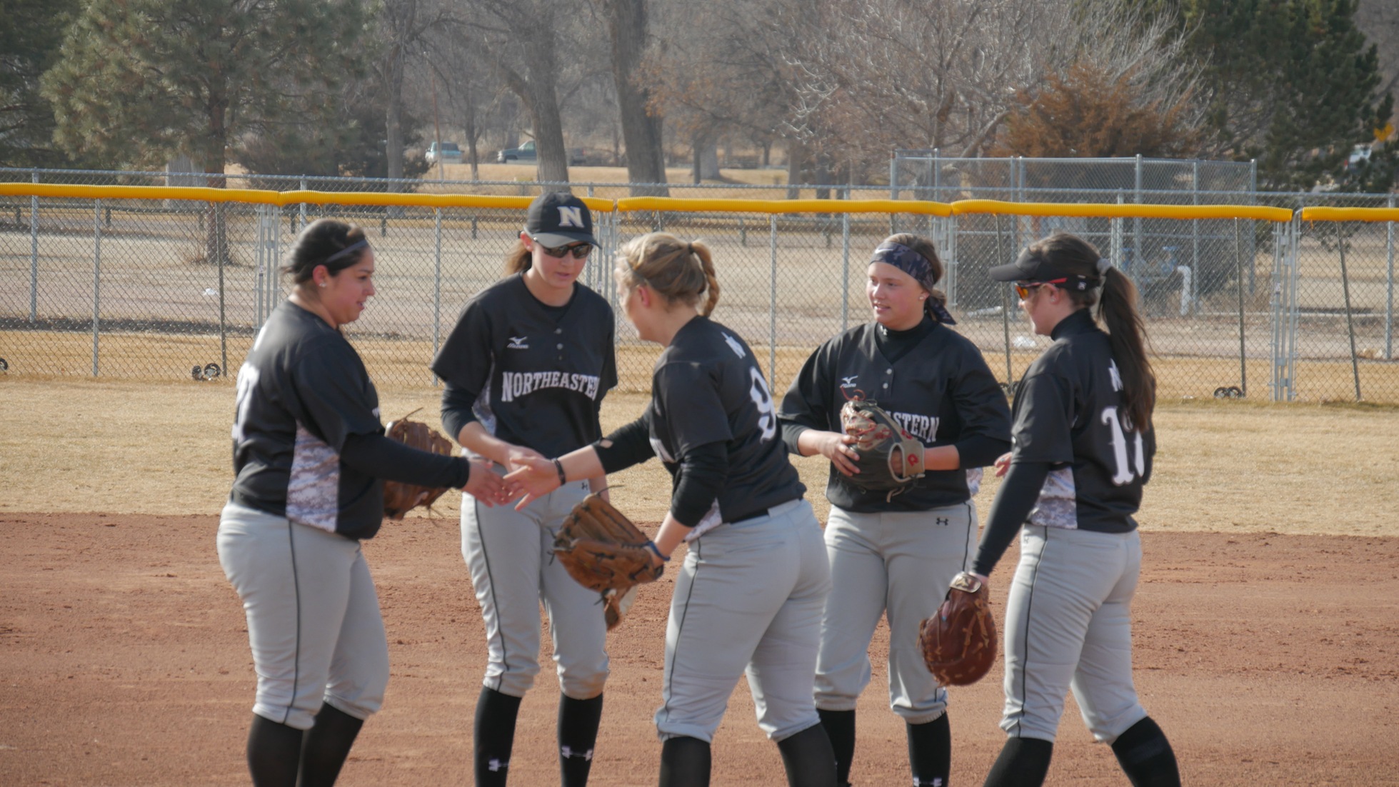 Softball Win Four on the Weekend