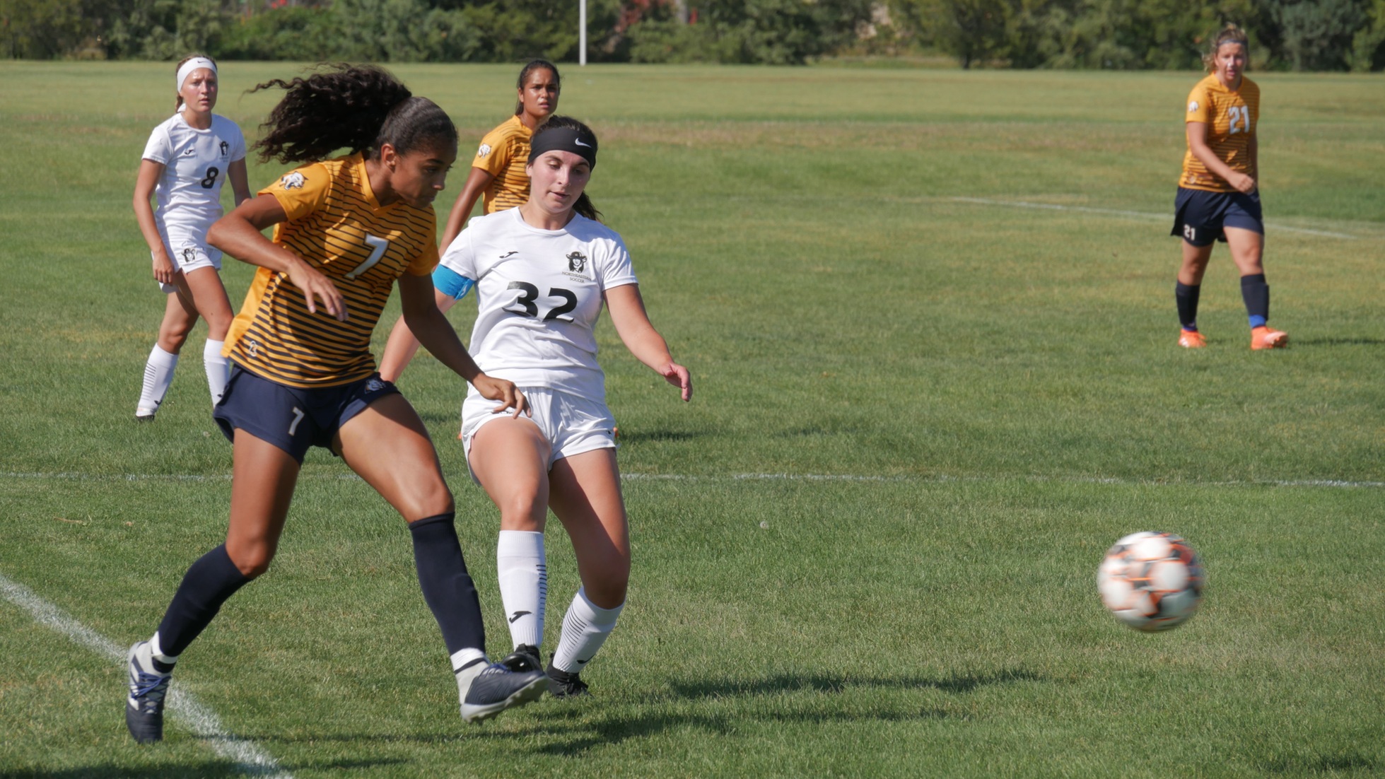 Plainswomen Fall To Top Ranked Cougars